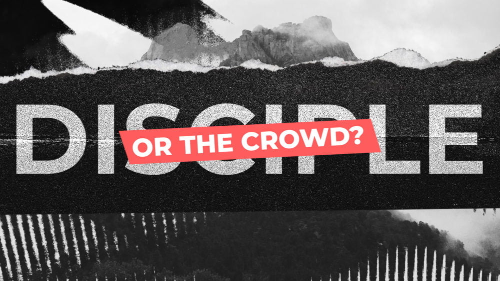 Disciple or the Crowd? Image