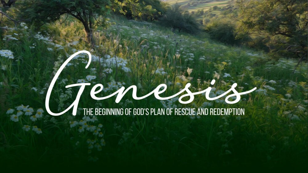 Genesis Week 3 Image